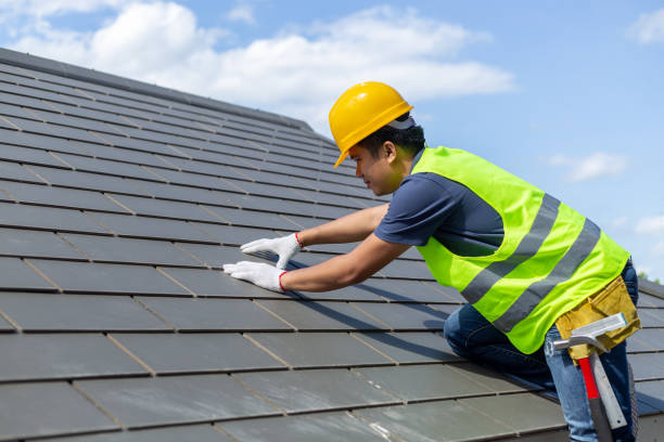 Best Roof Gutter Cleaning  in Nicholasville, KY