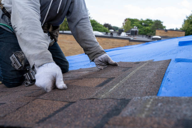 Best Commercial Roof Installation  in Nicholasville, KY