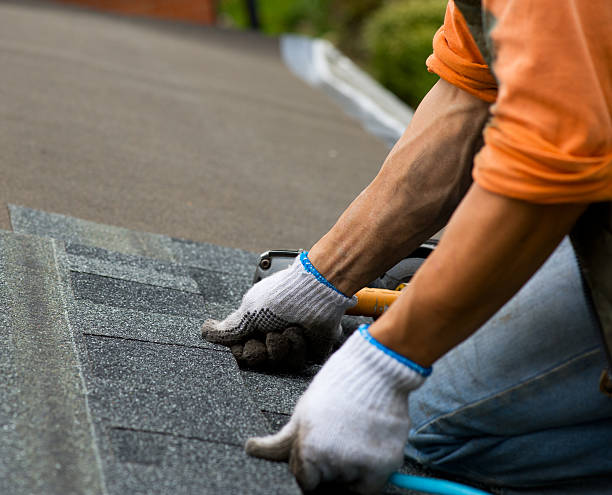 Quick and Trustworthy Emergency Roof Repair Services in Nicholasville, KY