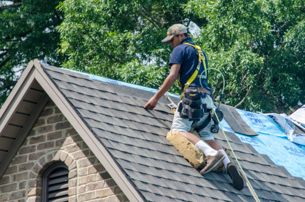 Quick and Trustworthy Emergency Roof Repair Services in Nicholasville, KY