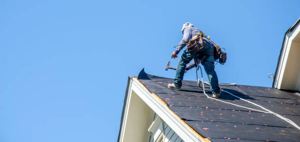 Best Best Roofing Contractors  in Nicholasville, KY